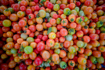Tomato Vang Vieng Laos