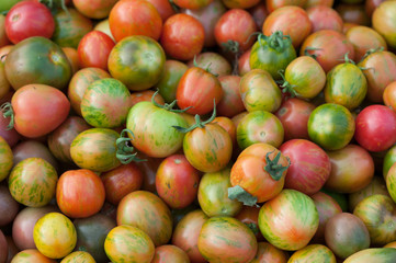 fresh tomatoes selling at vegetable market