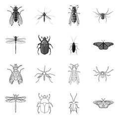 Isolated object of insect and fly icon. Set of insect and element stock vector illustration.