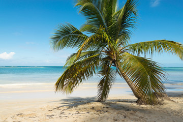 Fototapeta na wymiar Travel vacation tropical landscape.