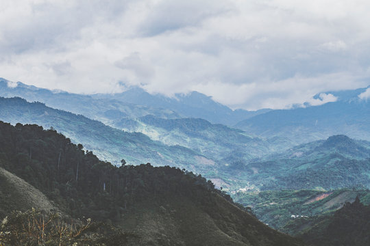 Nam Tra My