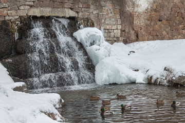 Winter beautiful frozen waterfall or fountain with cascading icicles from dripping water in city park