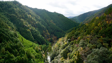 京都の自然：遠望の山間