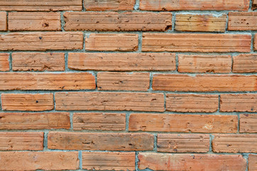 Old brick wall is a background image.