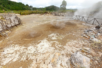 An area where thermal vents are used to prepare Cozido, a local Azorean delicacy.
