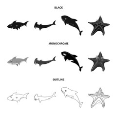 Vector illustration of sea and animal symbol. Collection of sea and marine vector icon for stock.