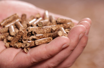 Man holding wooden pellet