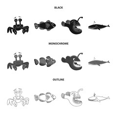 Vector illustration of sea and animal icon. Set of sea and marine stock vector illustration.