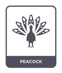 peacock icon vector