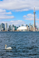 view of city and swan