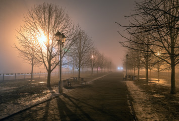Fog in park at night by the light of street lamps