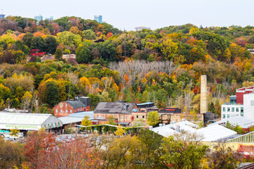 autumn in the city