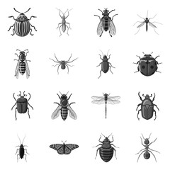 Vector design of insect and fly symbol. Collection of insect and element stock vector illustration.