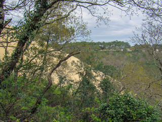 The Dune of Pilat: View of forest and the tallest sand dune in Europe, Arcachon Bay, Aquitaine,...