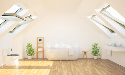 minimal spacious bathroom on attic