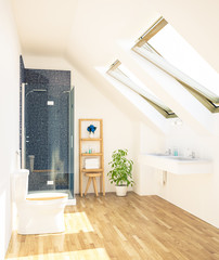 minimal clean bathroom on attic