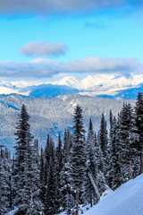 winter mountain landscape with trees and snow
