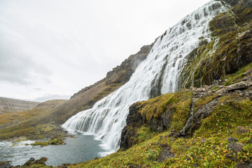 Fototapeta na wymiar Dynjandi waterfall from close, majestic fall, Iceland