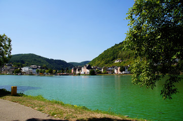 Fototapeta premium Weinort Alf an der Mosel gegenüber von Bullay 