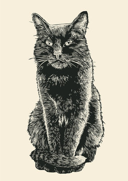black cat. engraving style. vector illustration.