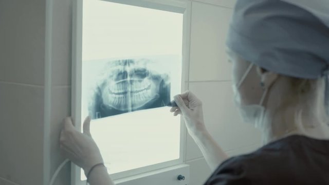 Woman dentist looking x-ray jaw