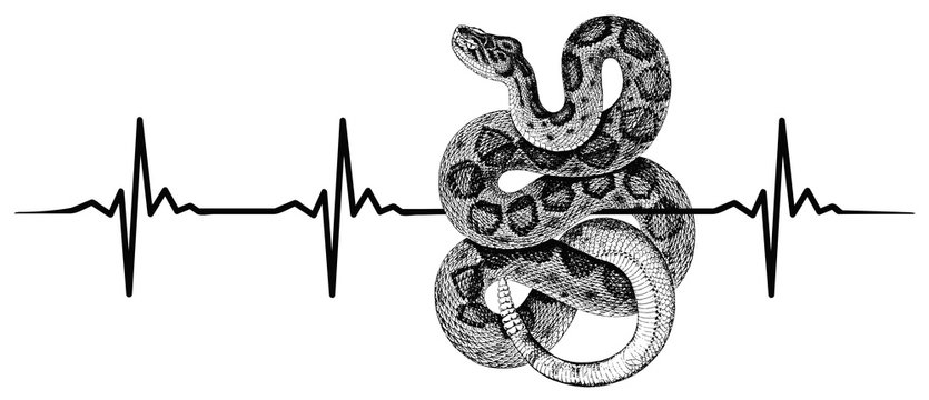 Snake heartbeat #isoliert #vektor - Schlange Herzschlag