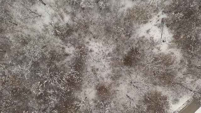 Flying over forest road under snow by winter 4K drone video