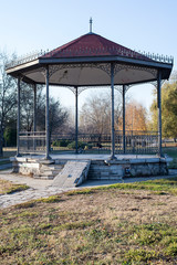 Autumn in the park background