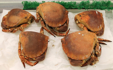 crabes