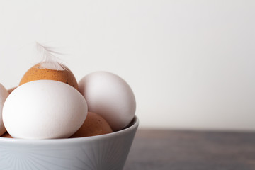 eggs and feather close up, space for text.