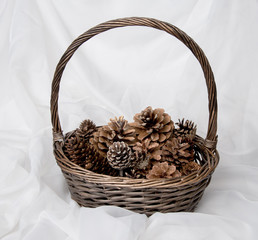 шишки в корзине