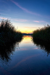 Sunset between reeds at the Mecklenburger Lake District. Germany