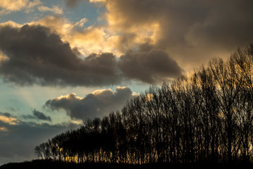 Spectacular cloud scape after a winter storm behind the silhouette of a row bare trees 