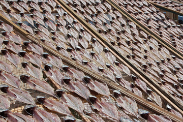 Fish put to dry in the sun on the beach in Portugal