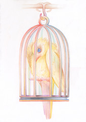Pencil drawing. Illustration for children. Image of animals with colored pencils. Canary locked in a cage, yearning.