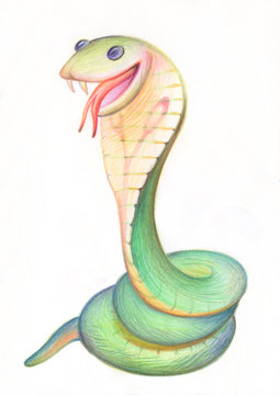 Pencil drawing. Illustration for children. Image of animals with colored pencils. Happy Cobra snake, ready to bite someone.