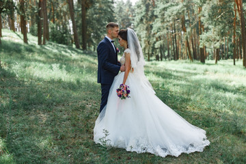 bride and groom walking in the park
gentle embrace of the brides
newlyweds for a walk in the...