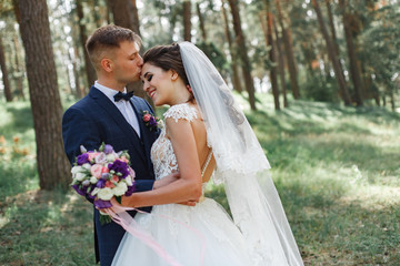 bride and groom walking in the park
gentle embrace of the brides
newlyweds for a walk in the...