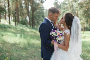 bride and groom walking in the park
gentle embrace of the brides
newlyweds for a walk in the...