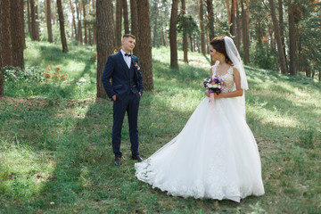bride and groom walking in the park
gentle embrace of the brides
newlyweds for a walk in the...