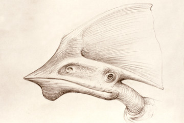 Paleontological illustrations. Portrait of a pterosaur. Fossil birds. Tupandactylus. © Piotr