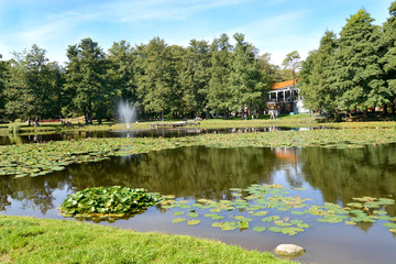 Pond in the city park in the summer afternoon. Zelenogradsk, Kaliningrad region