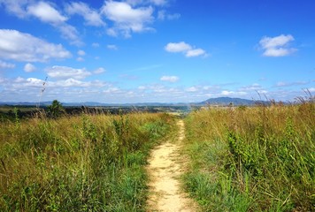 Trail through a grassy meadow with mountains in the distance and blue sky and clouds overhead