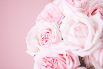 bouqet delicate pink roses on pink background