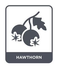 hawthorn icon vector