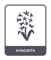 hyacinth icon vector