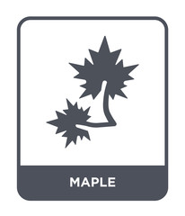 maple icon vector
