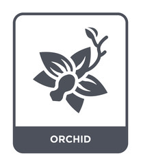 orchid icon vector