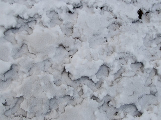 Abstract and Textured Snowy Background
