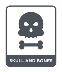 skull and bones icon vector